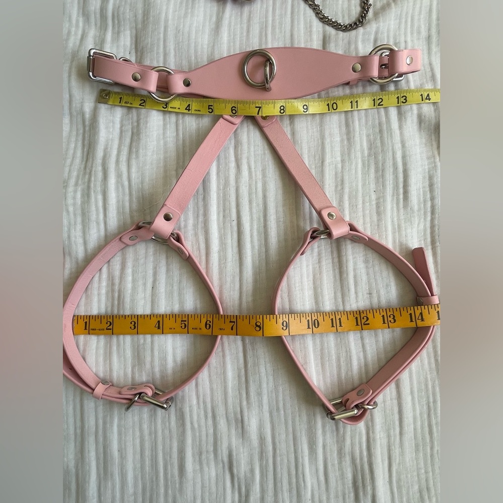 Anoeses Leather Pink Terra bondage Lingerie Set - Picture 9 of 17